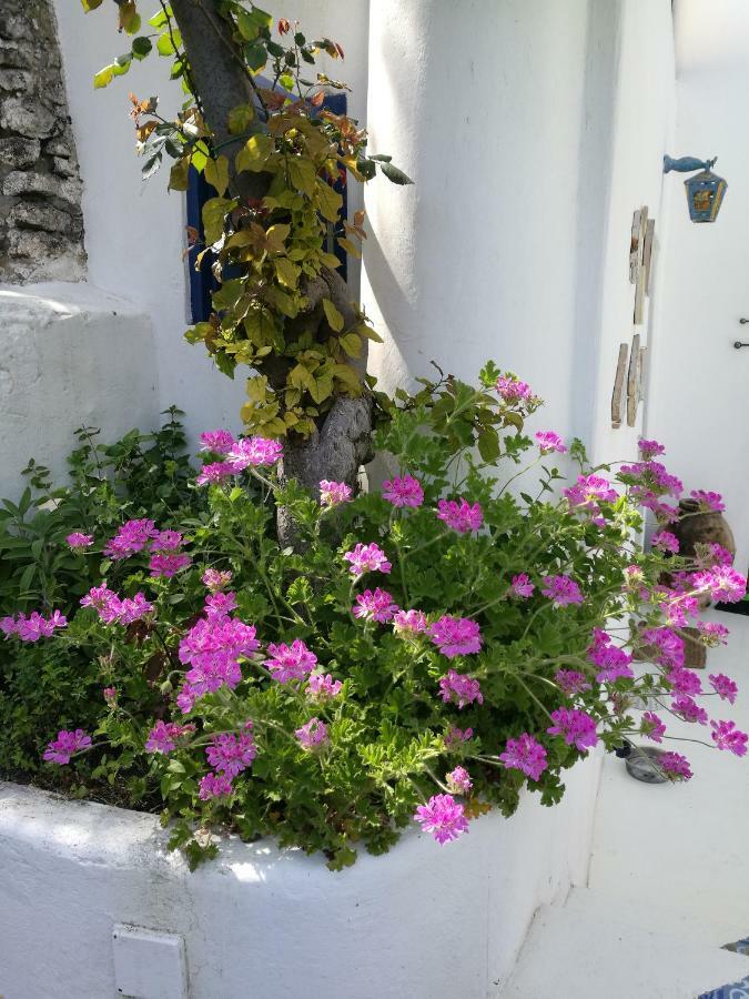 La Rosamarina Stromboli Exterior foto